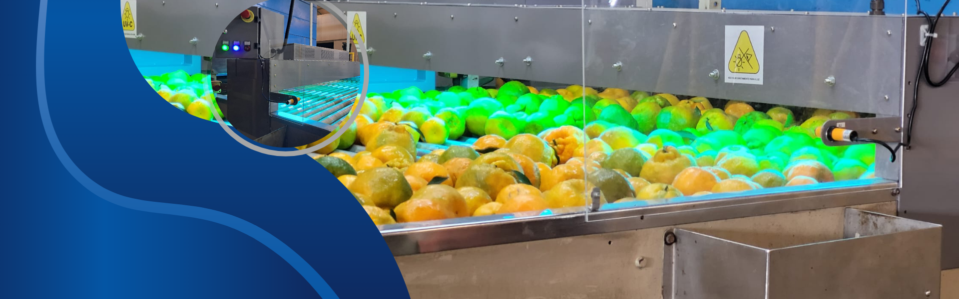 Sanitização de frutos e legumes através da radiação UV-C