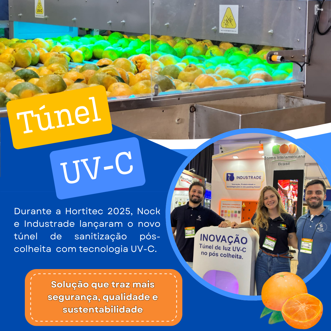 Parceria entre Nock e Industrade traz ao mercado o Túnel UV-C, tecnologia que agrega valor e eficiência ao pós-colheita