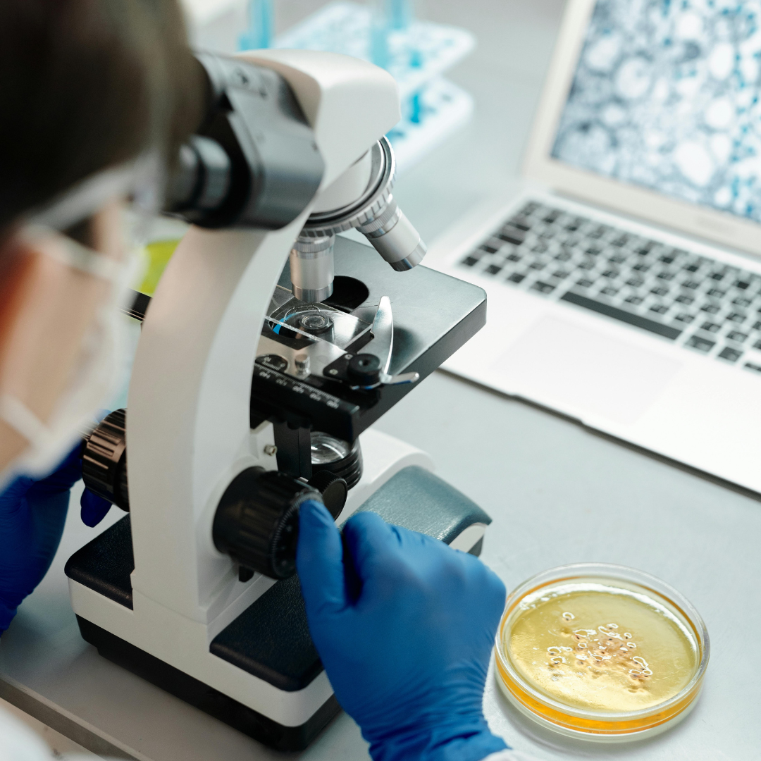 Identificação de Contaminações Microbiológicas