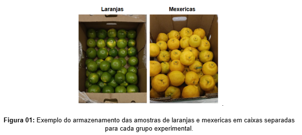 Imagem tecnologia